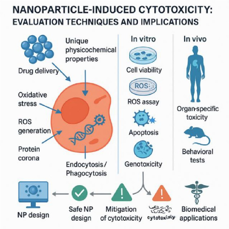New review discusses how to assess nanoparticle toxicity, highlighting methods to ensure safe and effective applications!
#nanoparticle 
<a href="/BiomedNano/">Nano Biomed. Eng.</a> <a href="/SciOpenTUP/">SciOpenTUP</a> 
sciopen.com/article/10.265…