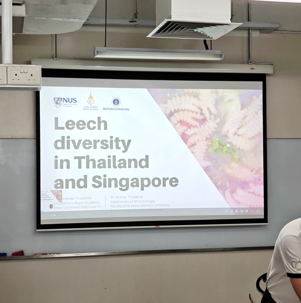 BugCatcher_Mao tweet media