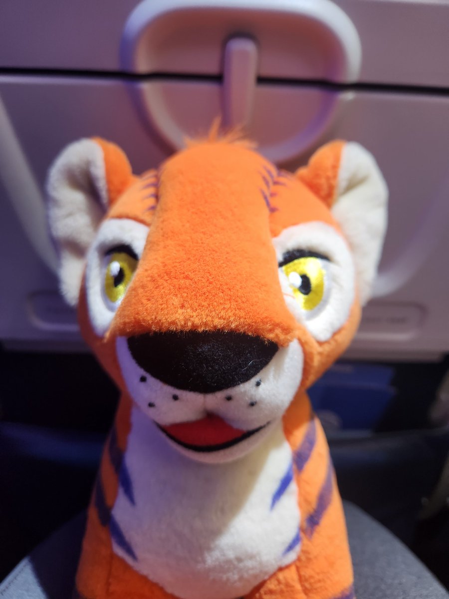 s0lar5ail0r's tweet image. Koug and I on our way to #SDCC2025 &amp;lt;3 

Can&apos;t wait to party with @Neopets &amp;lt;3