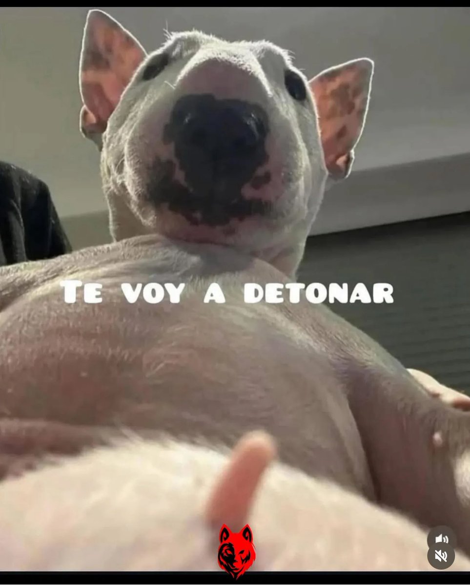 UnReTuit's tweet image. Llegan más nudes de Icardi