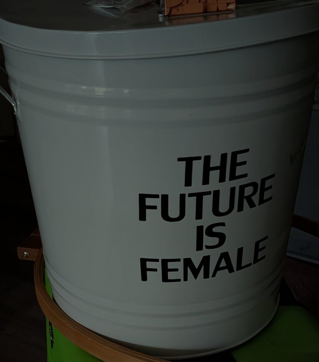AgarthanCitizen's tweet image. Foids will own things like this while simultaneously asking a Nazi to give her kids.