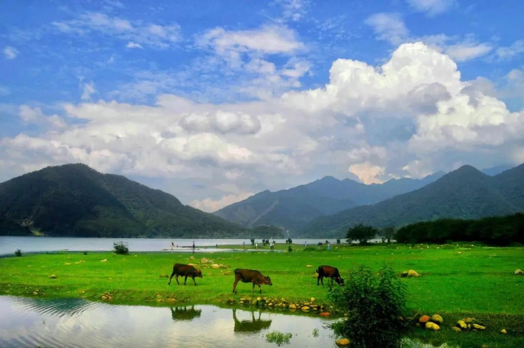 sgreng1's tweet image. 镜头里藏不下的韶关美景，爱了爱了 #大美中国