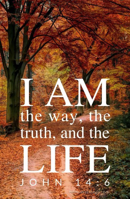 Ivette Berrio (@ivetteodalys) on Twitter photo 