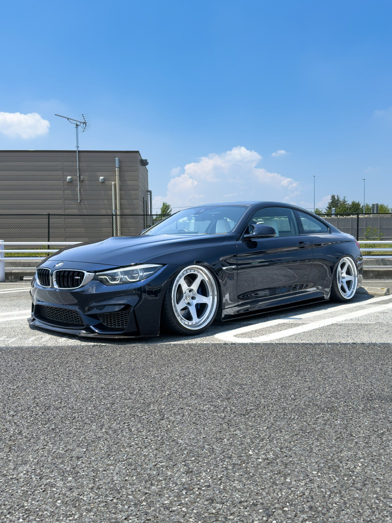 まぐろページ 71Q7FEoQkKL._UF350,350_QL50_.jpg