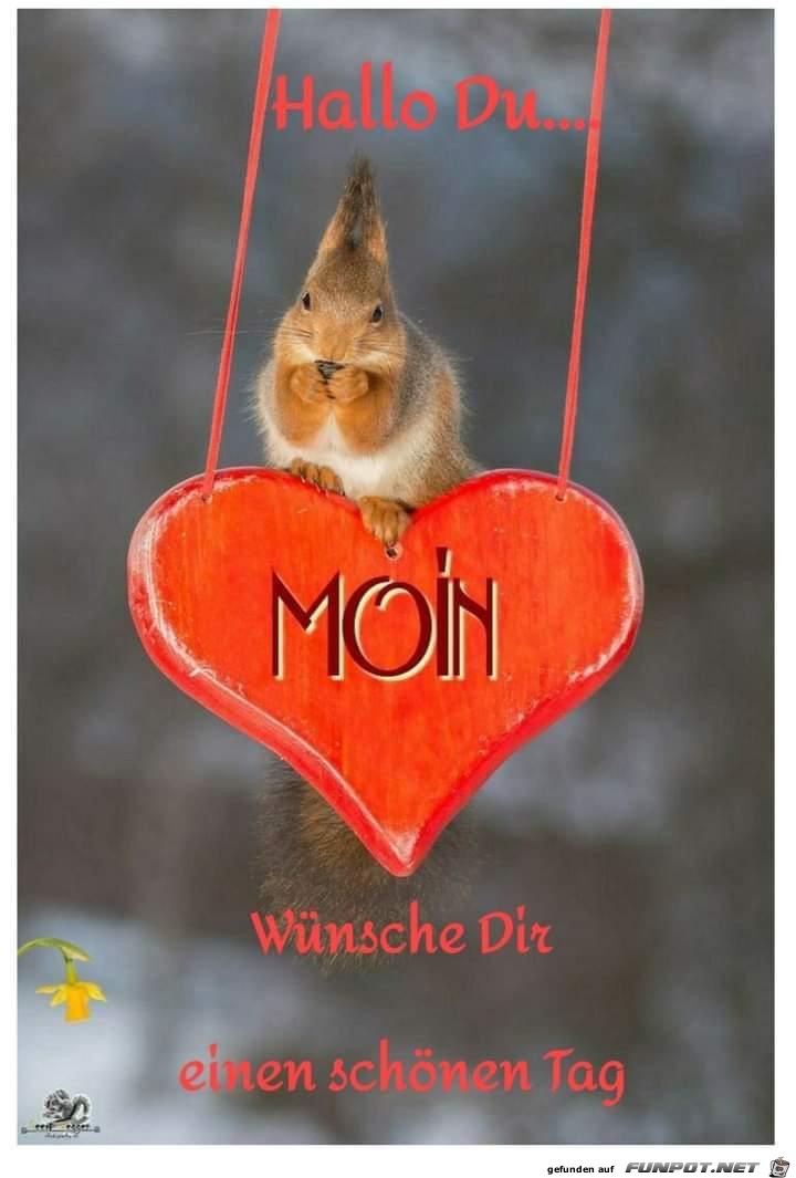 PhiloNicklisch's tweet image. 