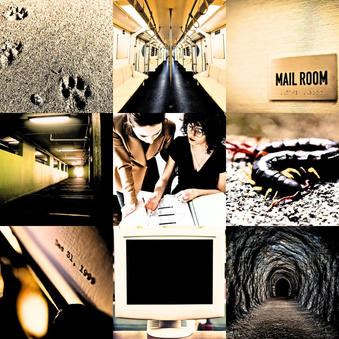 CHPearceWrites's tweet image. Moodboards and memes for two weird projects! Big thank you to my amazing agent and beta readers, you rock. π₯ Even though my MoodPitch on Twitter days are behind me I am compelled to create moodboards for each project π©βπ»π€π·ββοΈπππͺΌπͺΈ