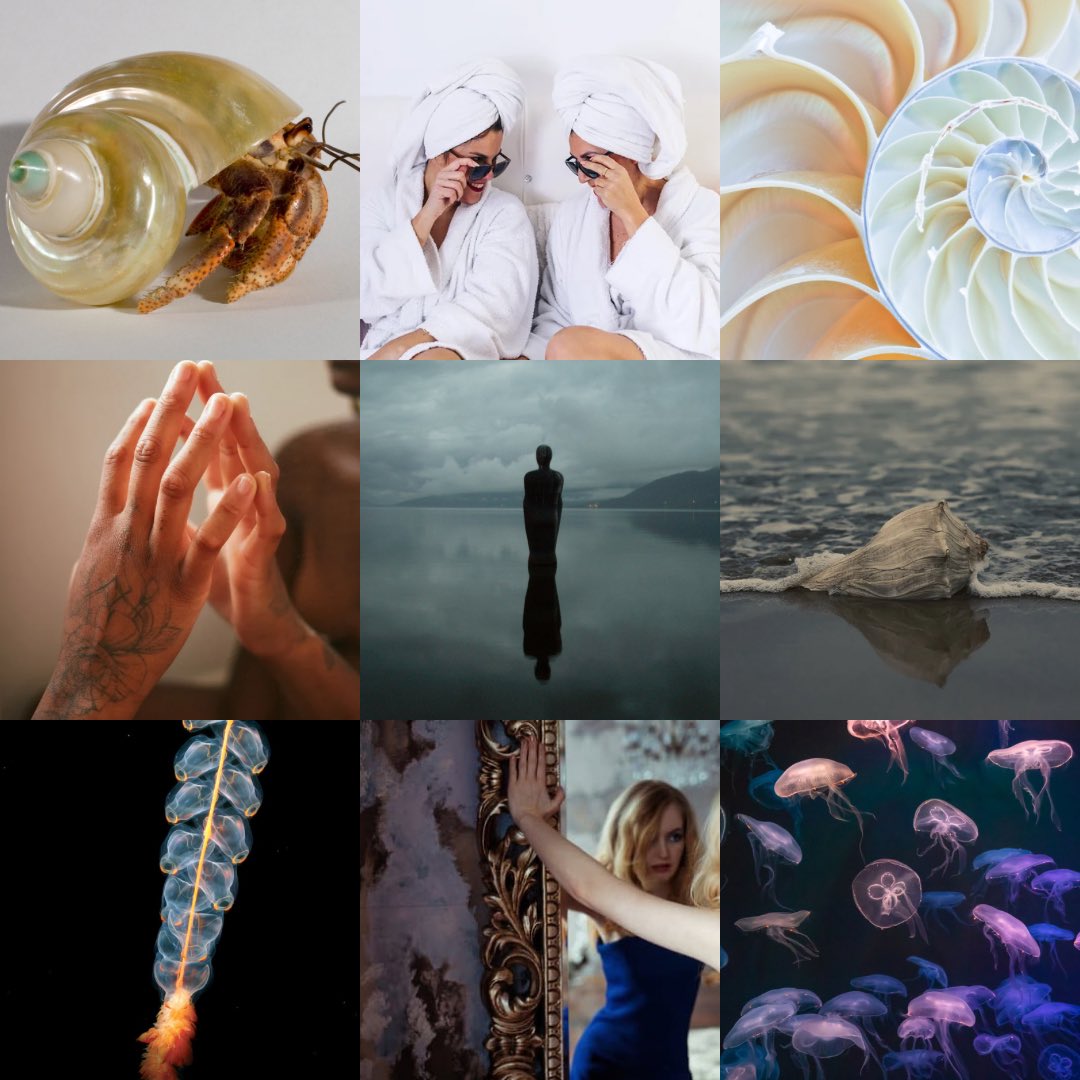 CHPearceWrites's tweet image. Moodboards and memes for two weird projects! Big thank you to my amazing agent and beta readers, you rock. π₯ Even though my MoodPitch on Twitter days are behind me I am compelled to create moodboards for each project π©βπ»π€π·ββοΈπππͺΌπͺΈ