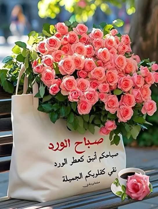 عسى المكتوب أجمل من المرغوب
صباحكم سعاده ويومكم اسعد بكل 
مافية من تفاصيله
صباح الخير💞🌹🌸