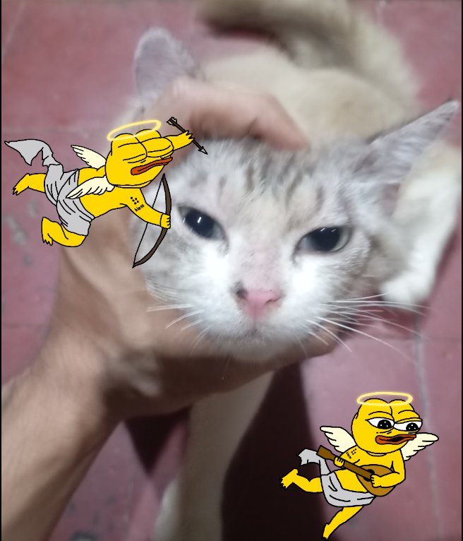 Kjkaha_'s tweet photo. A funny post for the ever-changing time on node, @theblessnetwork Fasten your seat belts to capture the time that can't be repeated.
https://t.co/bcefr7kYXi
#bless #airdrop #blesscats https://t.co/MkLZ9lFiL0