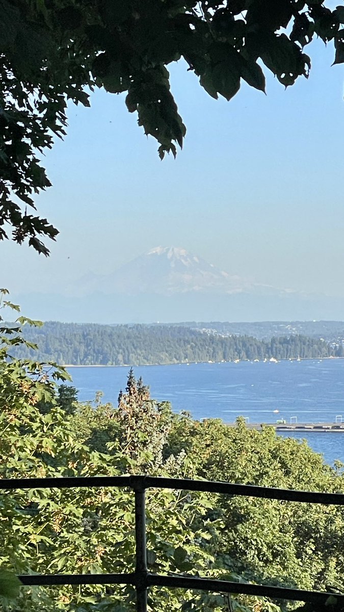 shepard_tina's tweet image. Tonight's walk included perfect weather, views of the mountain, a grouchy (albeit cute) bookkeeper, and sailboat races. #wawx @MtRainierWatch #freelittlelibrary