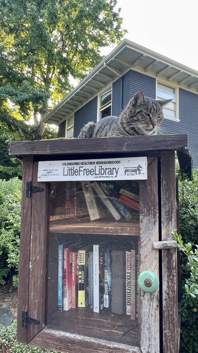 shepard_tina's tweet image. Tonight's walk included perfect weather, views of the mountain, a grouchy (albeit cute) bookkeeper, and sailboat races. #wawx @MtRainierWatch #freelittlelibrary
