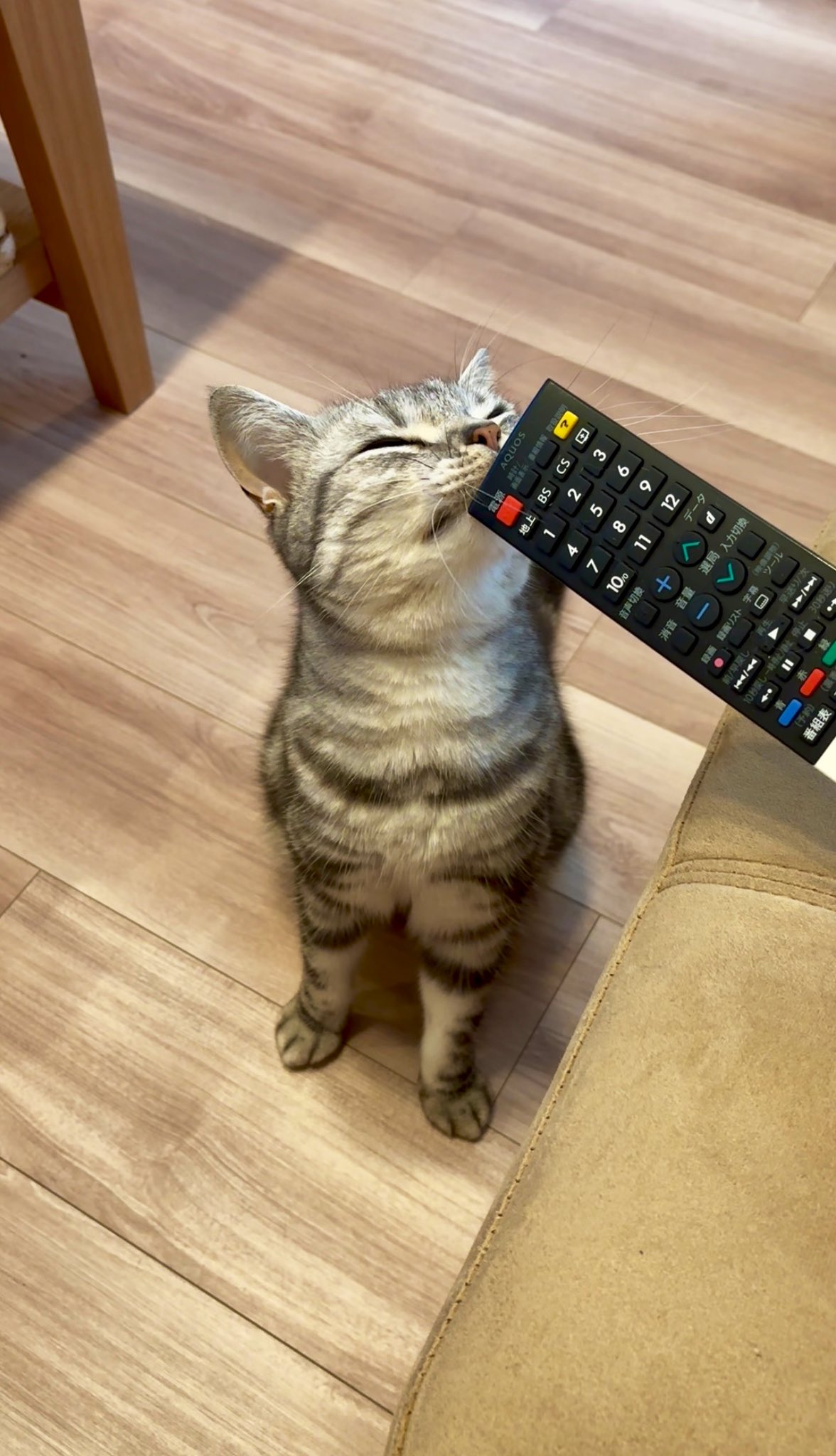 ☆あんこ☆ Amazon | 遠藤製餡 コメダ特製小倉あん300g | 遠藤製餡