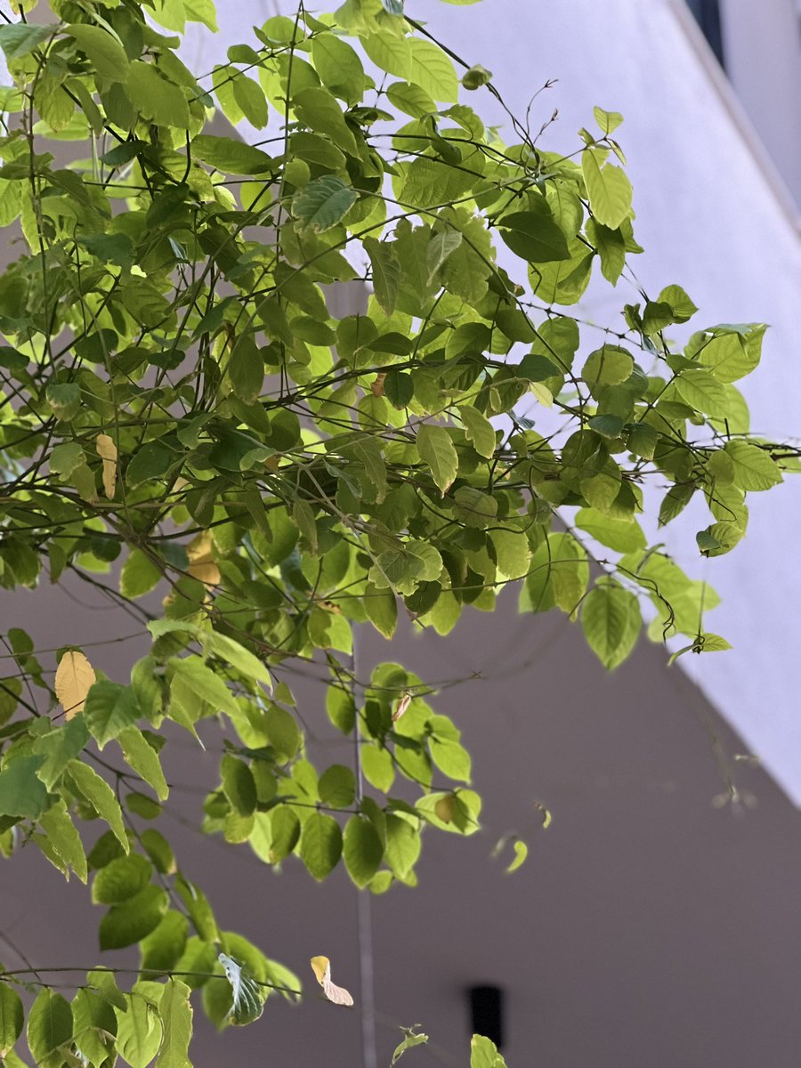 صباح الخير
اللهم في هذا الصباح افتح لنا أبواب الخير، وارزقنا ما نتمنى، واصرف عنا ما أهمّنا، واجعل لنا في ذكرك راحة وسكينة 🤍🍃#صباح_الخير