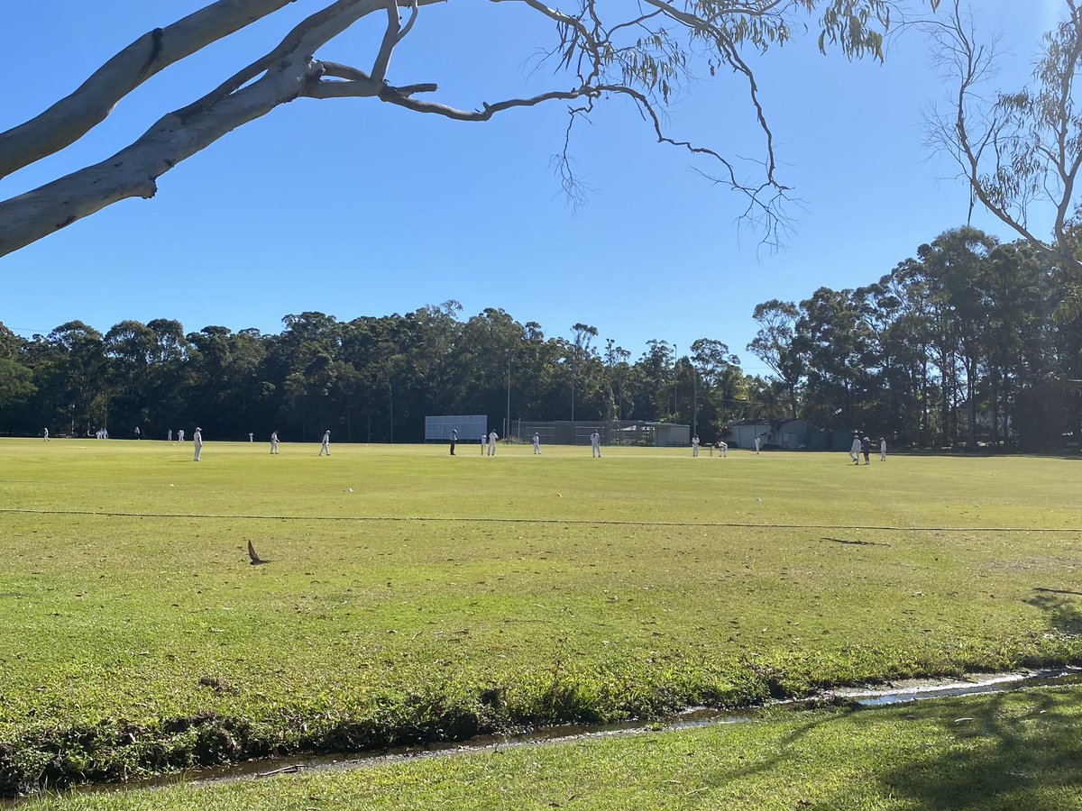 Mid week winter cricket.
Queensland.
Anywhere. Anytime.