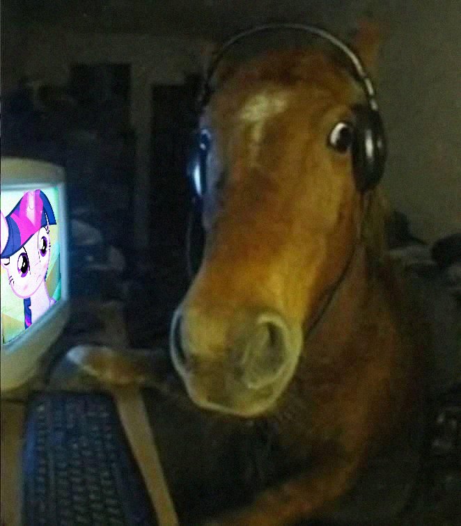 PonisEnCodeina's tweet image. 