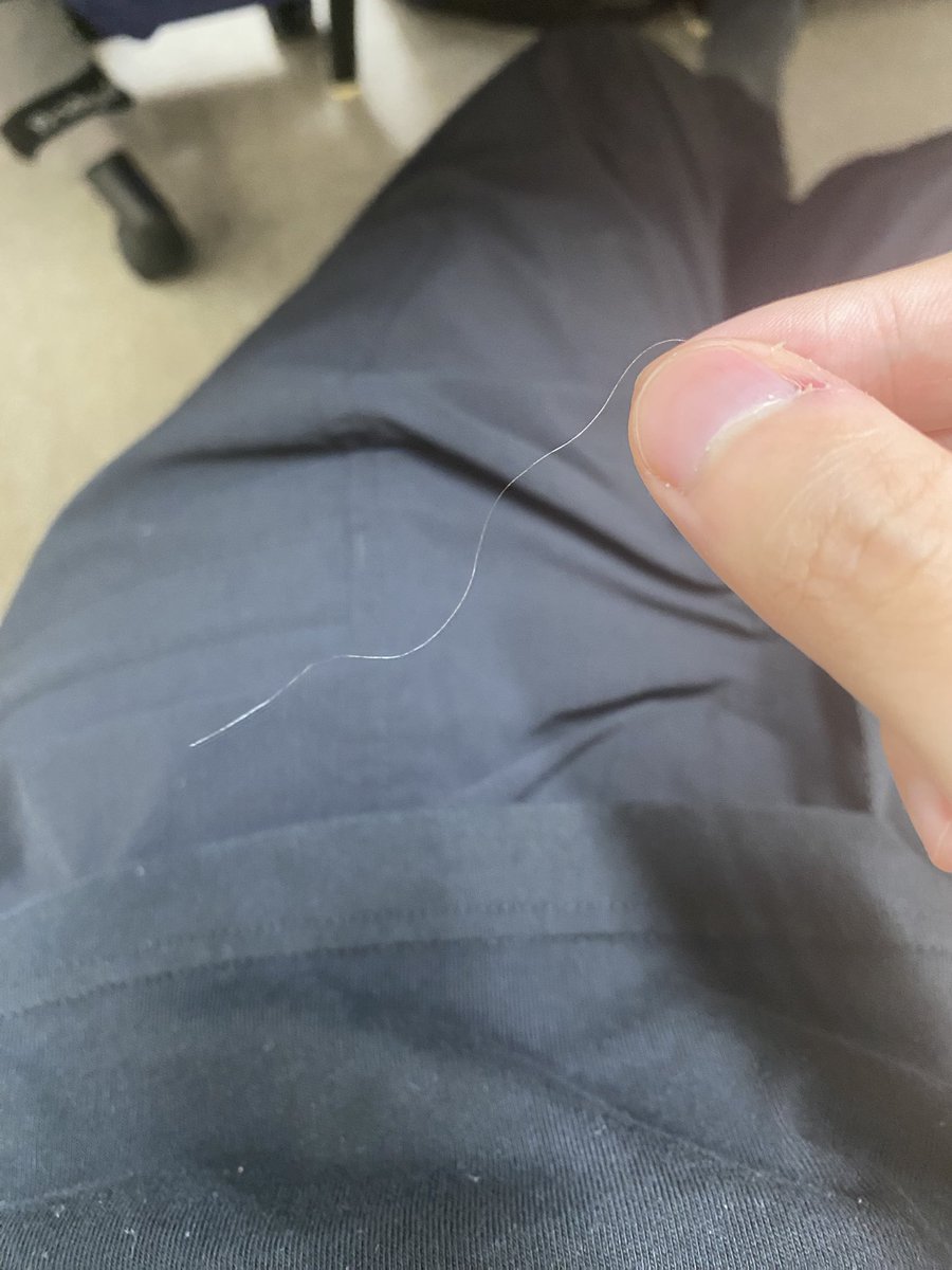 Wank_Draw's tweet image. 跟著我半年的白毛 掉了
據說這是智慧毛

那他掉下來 我是不是要變笨了🤔