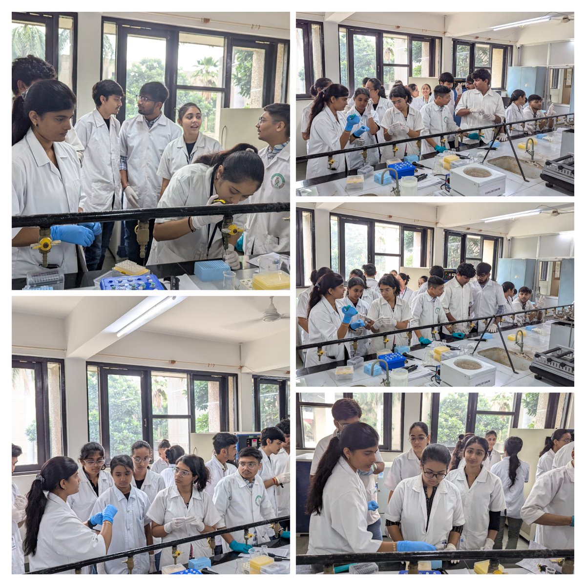 GBRC (@gbrc_gujarat) on Twitter photo Glimpse of day-9 activities of 2 weeks hands on training on "Molecular Biology Techniques" at <a href="/vvpcollege/">V.V.P. Engineering College</a>, Rajkot in collaboration with <a href="/gbrc_gujarat/">GBRC</a>.
<a href="/dstGujarat/">Department of Science & Technology, Gujarat</a> <a href="/monakhandhar/">Mona Khandhar IAS</a> <a href="/ChaitanyaGJoshi/">Chaitanya Joshi</a> <a href="/gsbtm/">Gujarat State Biotechnology Mission</a> <a href="/GujBiotechUni/">Gujarat Biotechnology University</a> Glimpse of day-9 activities of 2 weeks hands on training on "Molecular Biology Techniques" at <a href="/vvpcollege/">V.V.P. Engineering College</a>, Rajkot in collaboration with <a href="/gbrc_gujarat/">GBRC</a>.
<a href="/dstGujarat/">Department of Science & Technology, Gujarat</a> <a href="/monakhandhar/">Mona Khandhar IAS</a> <a href="/ChaitanyaGJoshi/">Chaitanya Joshi</a> <a href="/gsbtm/">Gujarat State Biotechnology Mission</a> <a href="/GujBiotechUni/">Gujarat Biotechnology University</a>