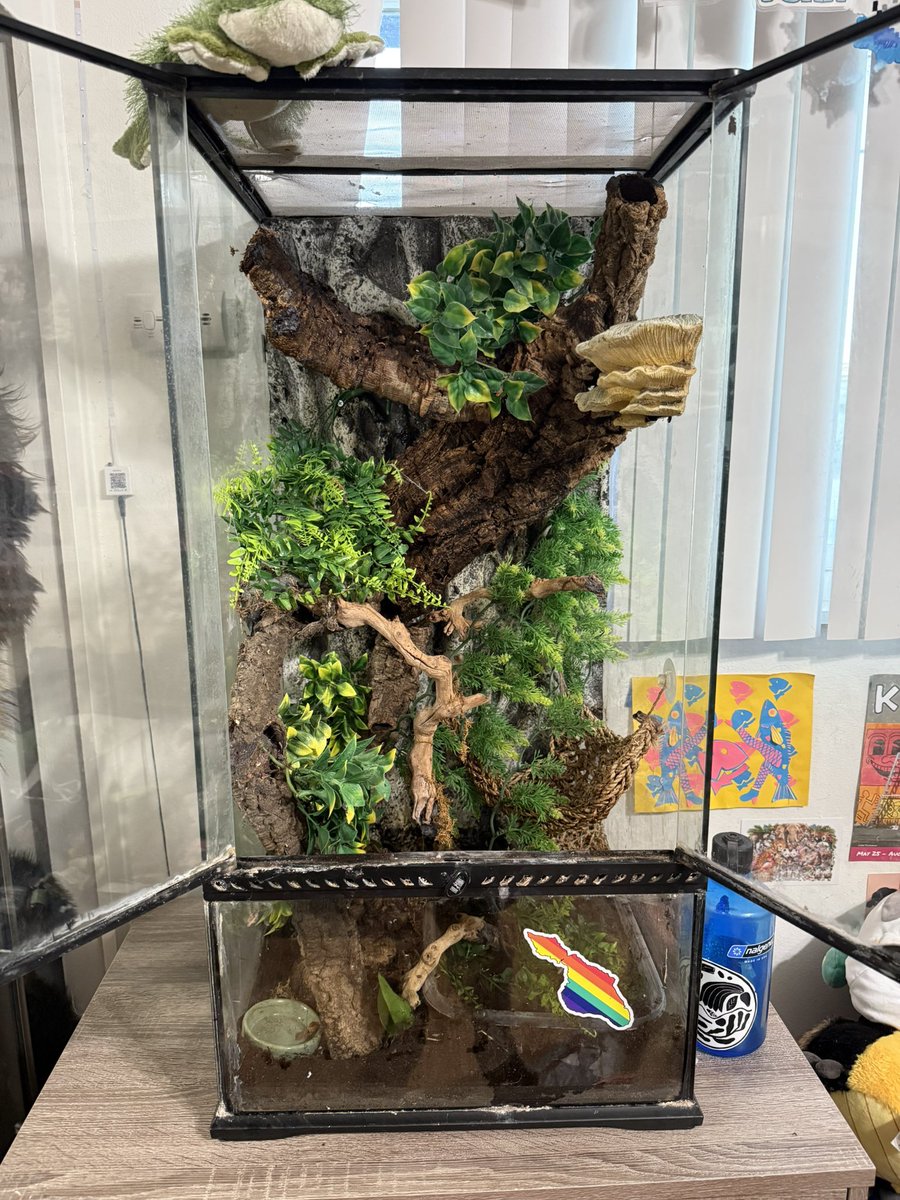 meow_maws's tweet image. Moved my little guy into a bigger home