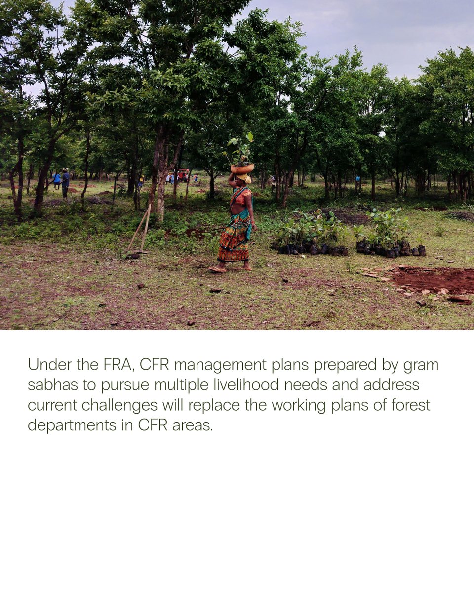 atree_org's tweet image. The Chhattisgarh forest department recently issued a letter designating itself as the nodal agency for implementing community forest resource (CFR) rights under the Forest Rights Act (FRA) and restricting gram sabhas from implementing locally developed CFR management plans. This…