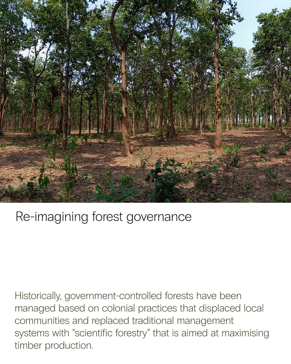 atree_org's tweet image. The Chhattisgarh forest department recently issued a letter designating itself as the nodal agency for implementing community forest resource (CFR) rights under the Forest Rights Act (FRA) and restricting gram sabhas from implementing locally developed CFR management plans. This…