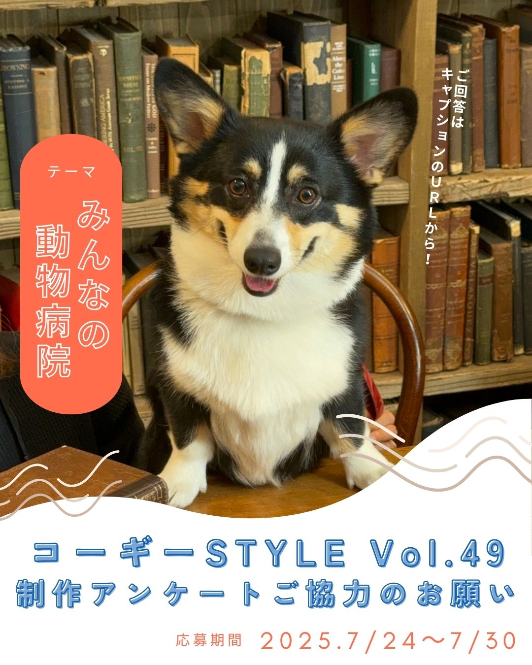 コーギースタイル【公式】 (@corgistyle_2002) / X
