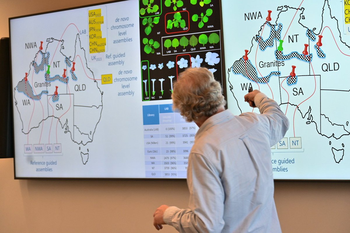 MU_CCFI_Biotech's tweet image. Up next is @QUT molecular geneticist and plant virologist Prof Peter Waterhouse, who discusses developing the reference genome, epigenome, and mini-pangenome of Nicotiana benthamiana, commonly considered Australia's native 'lab rat' plant.
A great overview of how this plant…