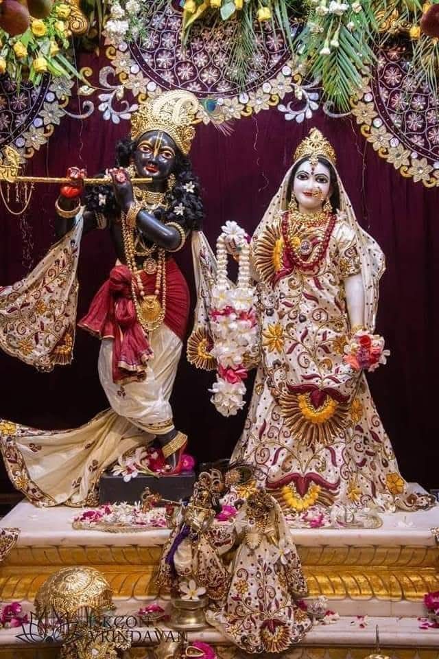 ॐ नमो भगवते वासुदेवाय नमः🌹💐🌷🌺🌸 ॐ नमो भगवते वासुदेवाय नमः🌹💐🌷🌺🌸 ॐ नमो भगवते वासुदेवाय नमः🌹💐🌷🌺🌸 भगवान श्री कृष्ण जी की कृपा से आपका दिन शुभ हो🙏🙏🙏🙏🙏