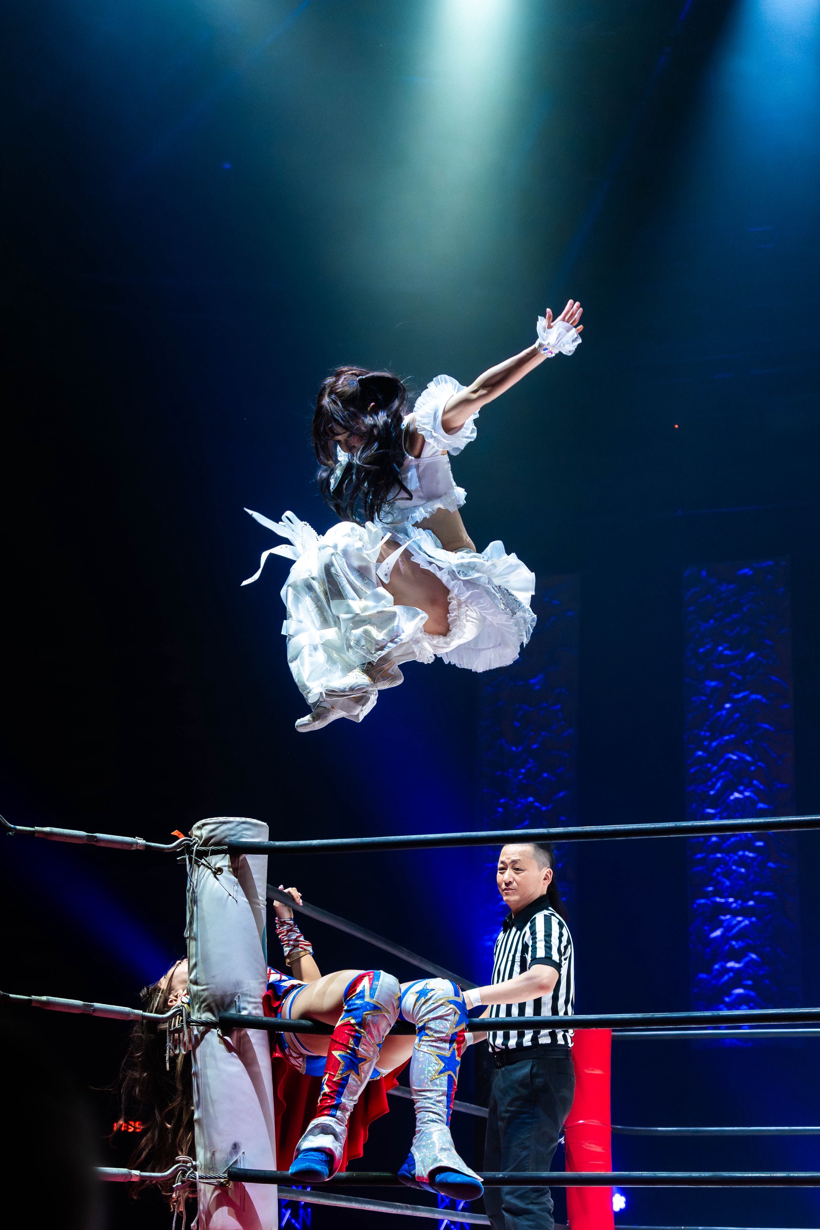 東京女子プロレス瑞希アクスタ 瑞希 東京女子プロレス アクリルスタンドキーホルダー – 闘道館