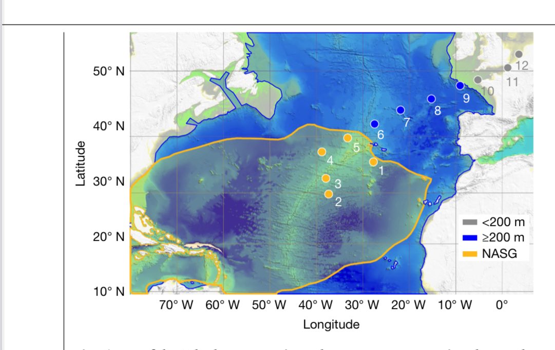 My new video…
Nanoplastic in the Oceans and inside the Human Brain

North Atlantic amount: 27 Million Tonnes

Human Brain amount: Equivalent to mass of common plastic fork

What happens in the Ocean happens in the Human Brain…
 youtu.be/Vi3tOV9AmKQ?si… 

#oceans #plastics