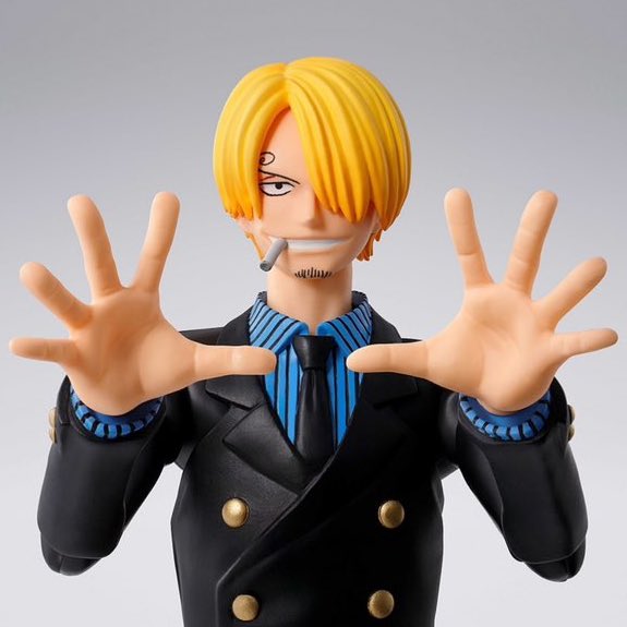 beensmoked's tweet image. oh no, i seem to have forgotten how many straw hat pirates there are. i wish an intelligent and gorgeous man could tell me!
the ever so intelligent and gorgeous sanji: