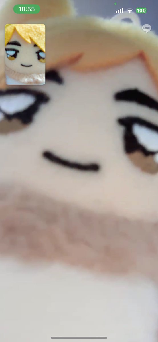 3chimi1006's tweet image. これはぼて家のちみつむと常連家のちみつむのライン電話の様子