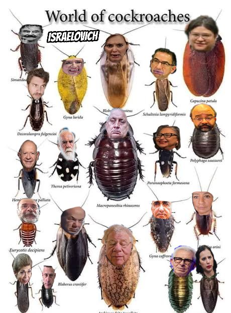Escoja su cucaracha más indeseable.
<a href="/josenereocanori/">Pepe Cano</a> <a href="/JRENSE1/">JRENSE</a> <a href="/SoyIsraman/">Israman 2.0 🛸🍉🇵🇸</a> <a href="/arqSexyRodolfo/">arquiSexy..SoyUnSol..MotoPapi</a> <a href="/cuaupeluche/">Cuauhtémoc</a> @CalletiRey <a href="/AdanAlmazan1ero/">🇲🇽AdánAlmazan1ero🇷🇺🇵🇸</a> <a href="/lisamayrin/">Liz 🐾</a> <a href="/Dorys_Saenz/">Doris Saenz</a> <a href="/IYAzGrande/">I de puntito i con Ámbar.</a> <a href="/marycielovilla/">Mary Villa 🇲🇽🍁</a> <a href="/CanijoChamuco/">Chamuco Canijo</a> <a href="/Kaiser497113542/">Kaiser</a> <a href="/martuchi63/">MarAg.✨</a>
