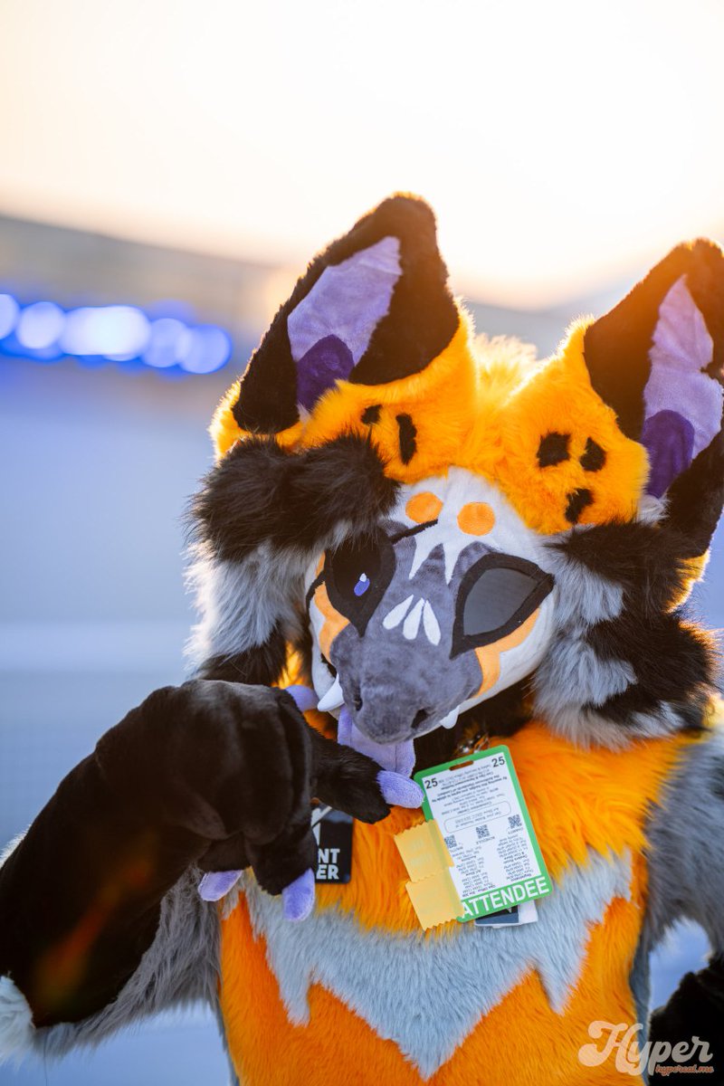 thetwistedpuppy's tweet image. Oh me?

📸 @jordanfelle