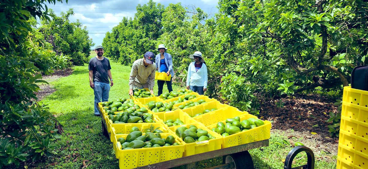 Tropical Plant Clinic & Research Lab tweet media