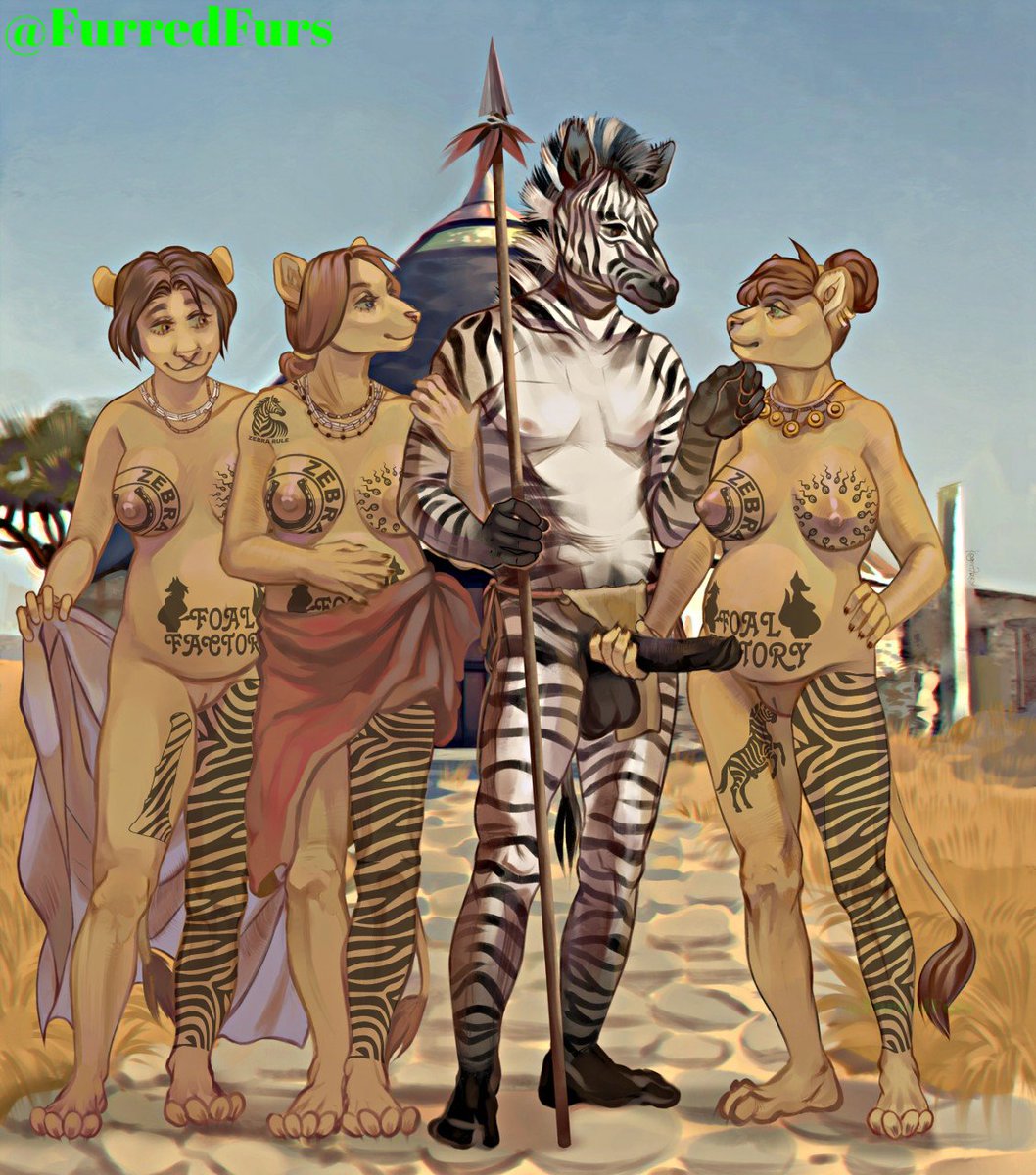 This zebra moved to The Feline Federation. The felines aren't quite known for their... Size. But zebras are. So, naturally, loads of feline girls flock to zebras to be bred. 
"You cuties have been such good girls. All of you will get some zebra horsecock tonight"~