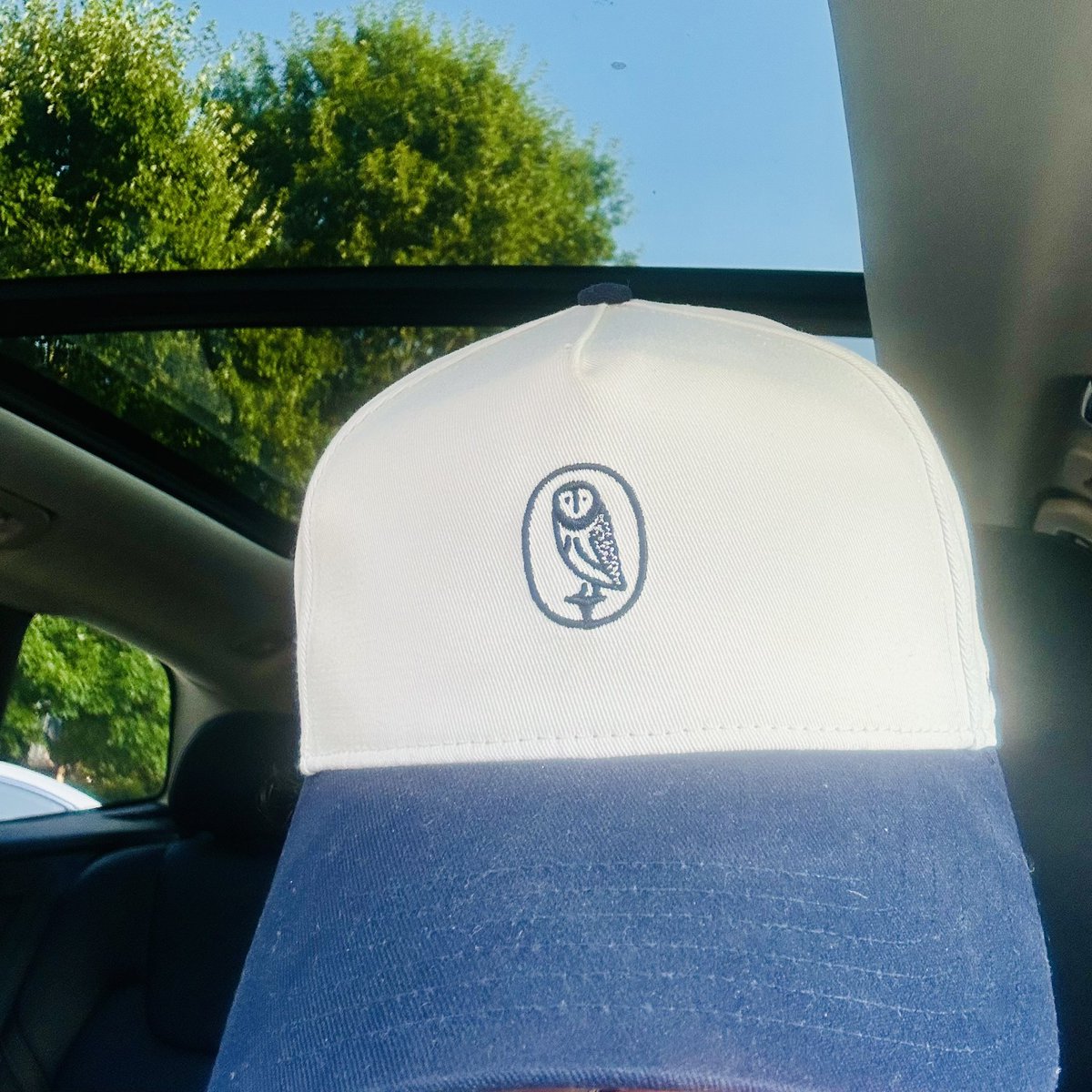 makethatVJsingh's tweet image. LOTD — didn’t love it at first, but the 🦉has certainly grown on me. Top 5 animal logo.