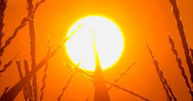 TapNewsAgency's tweet image. #Tunisia: #Tozeur recorded the highest temperature Wednesday 47°C, ahead of #Kebili & #Kairouan 46°C, while slightly lower temps were seen in #Siliana, #Jendouba & #Gafsa (45°C) & #SidiBouzid, #Beja & #Kef (44°C), as #INM warns heatwave will persist Thursday & Friday. #TAP_En