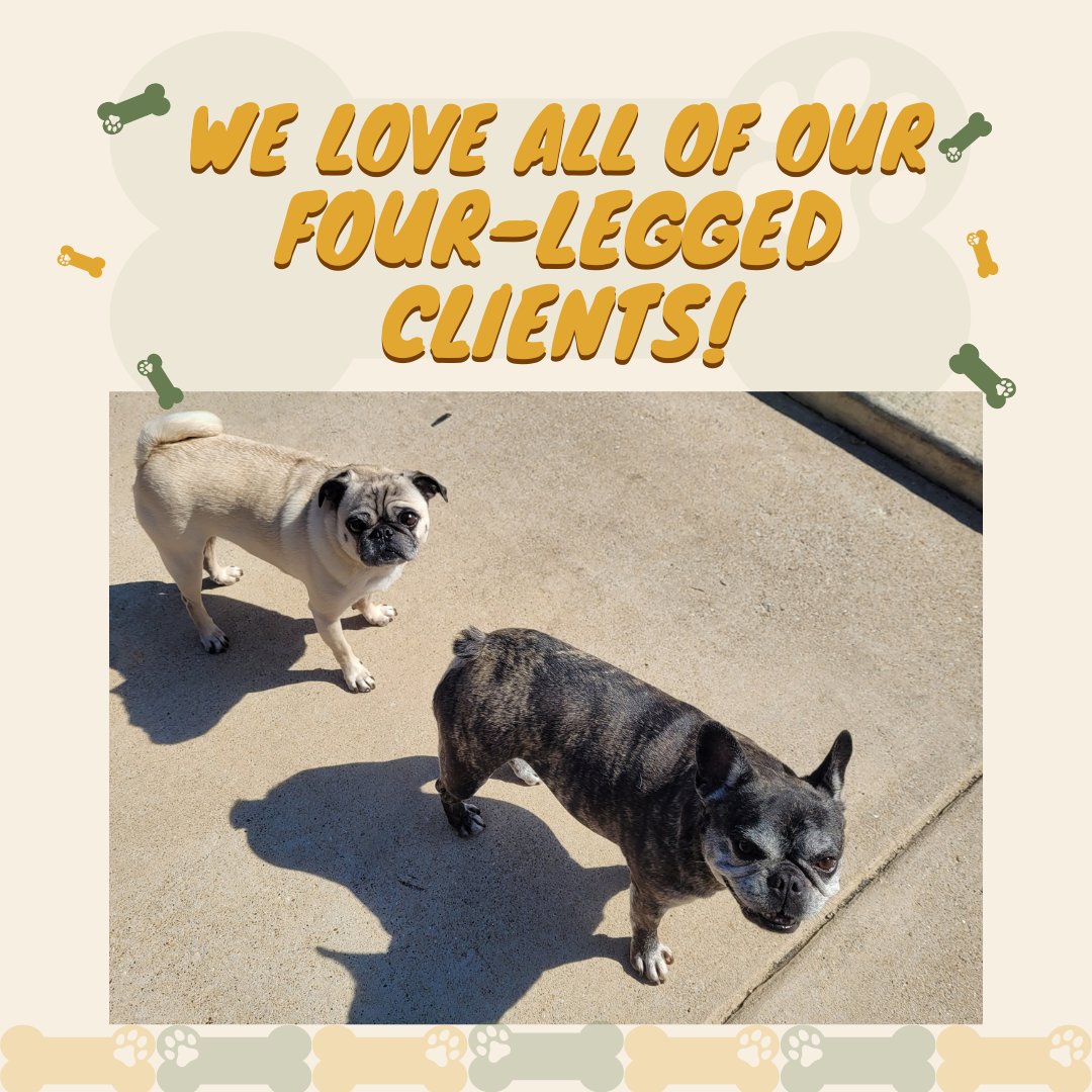 SuperScoopers's tweet image. It's true! We can't wait to meet our newest four-legged clients. Sign up for #pooperscooper service with #SuperScoopers today!