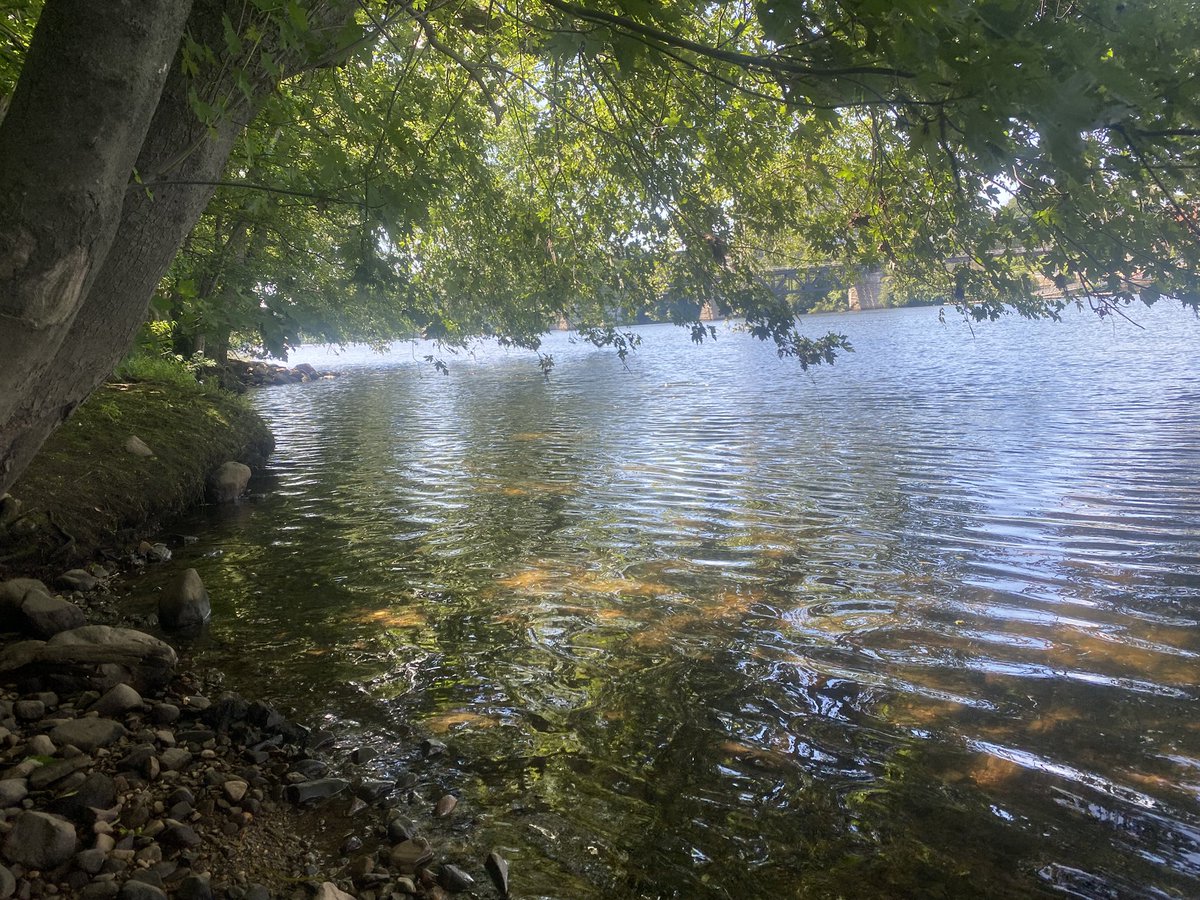 Touch grass or some water 🌞