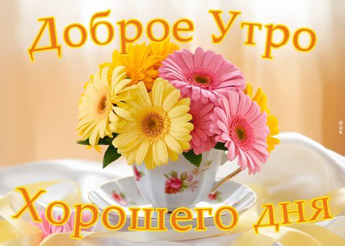 Өглөөний мэнд.