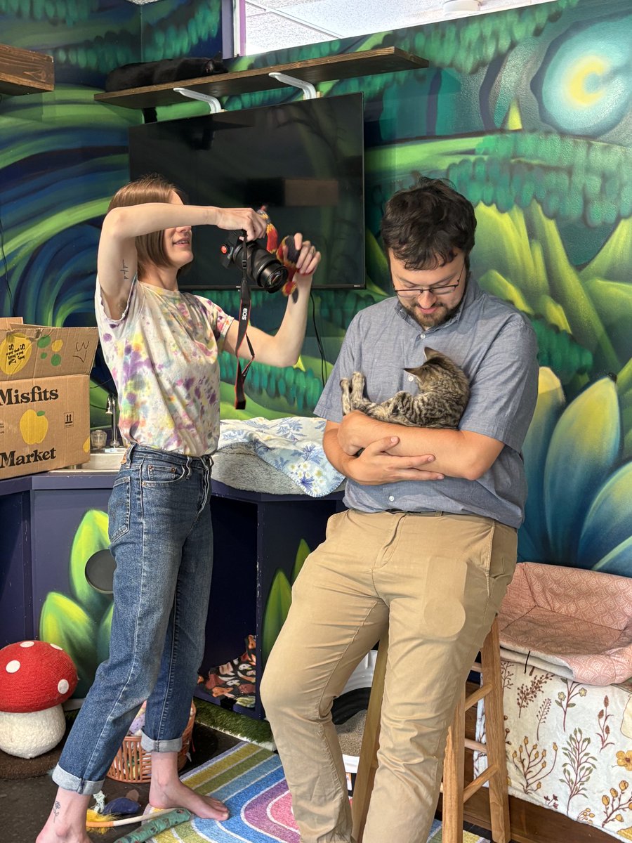 roseforacc's tweet image. Running for office can have its perks. I have to say a photo shoot with kittens has been one of my favorite events.