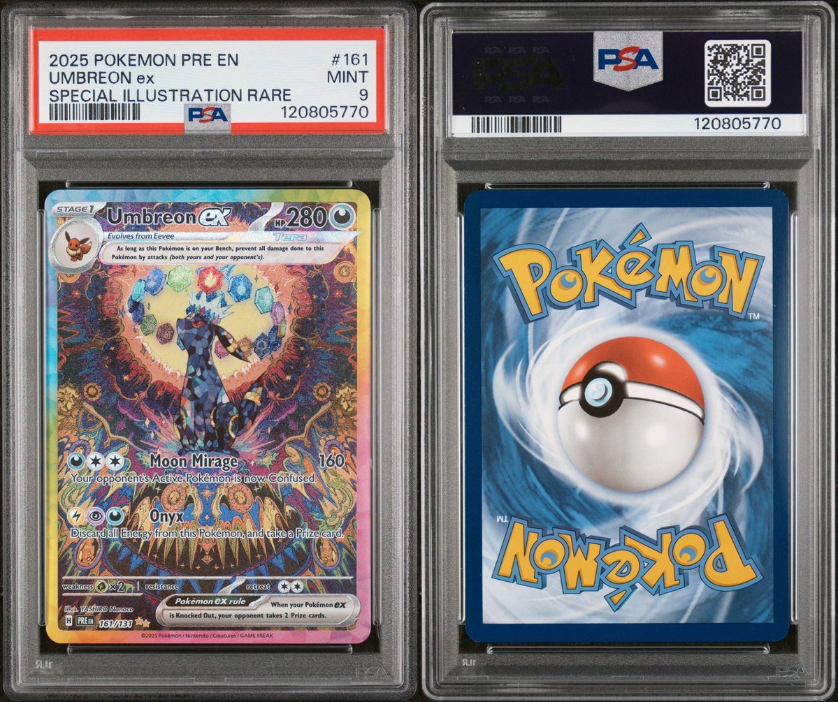 TheGioRoyals's tweet image. $1300 shipped sequential pair firm
@CardboardBanger @BUYSELLTRADETCG