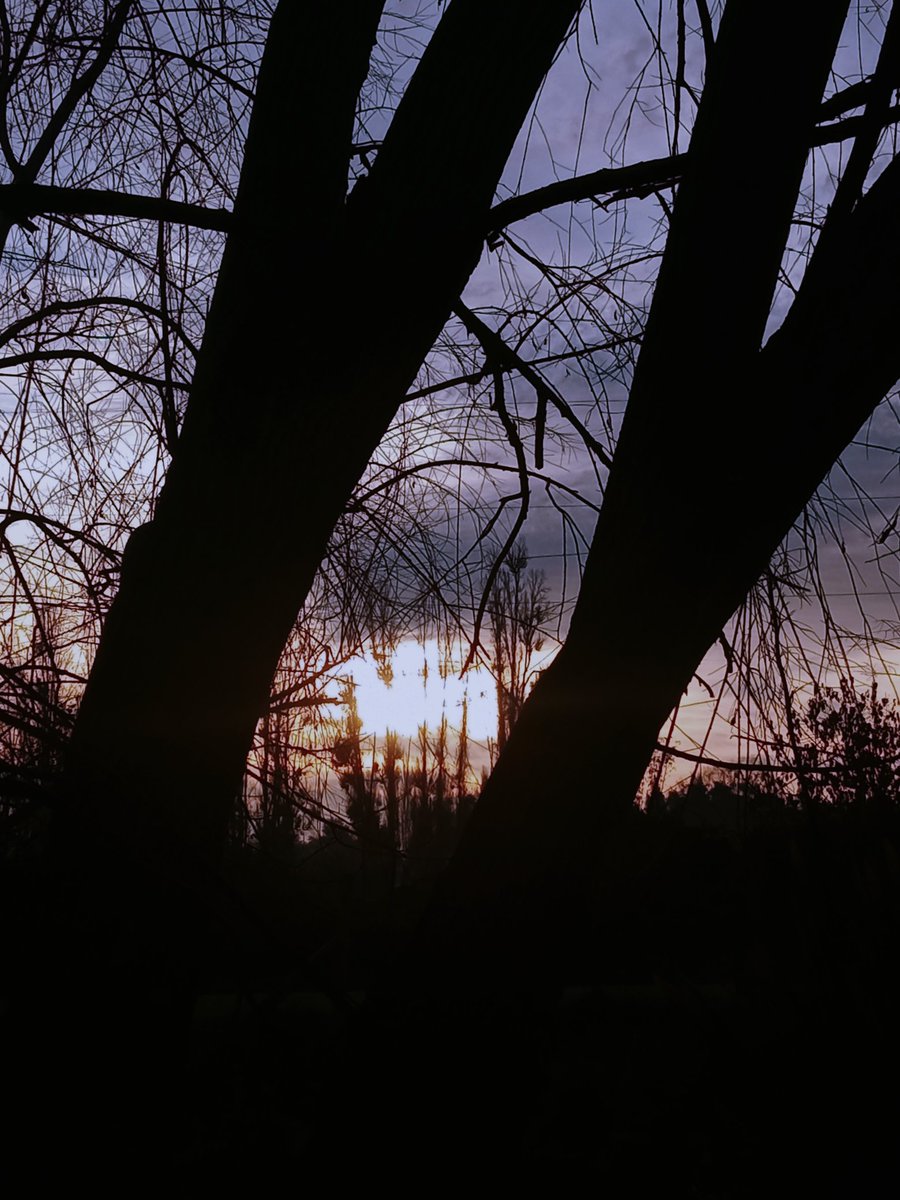 Manungo6's tweet image. Las sombras predominan a esta hora.
Buena tarde 🌜