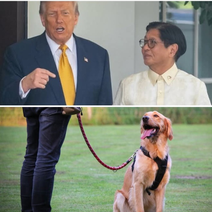 Good Boy Doggie 😂😂😂