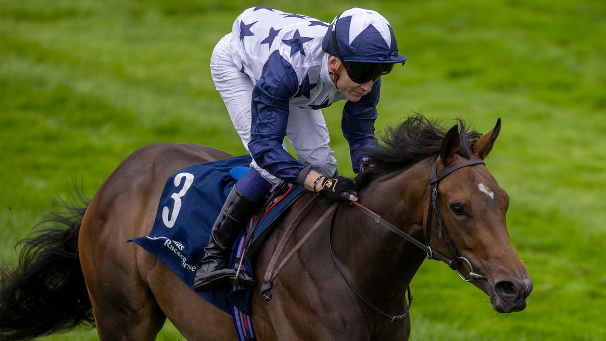 IREthoroughbred's tweet image. HAVANA ANNA runs out an easy winner of Listed Arqana @IrishEBF_ Marwell Stakes @NaasRacecourse for trainer Donnacha O'Brien, rider Gavin Ryan & owners Gaynor Bloodstock; sourced @Goffs1866 Orby Book 1 for Euros 65k ๐๐ถ