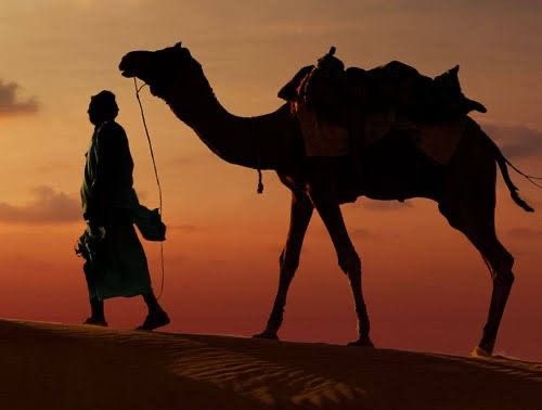 aladbo's tweet image. قيل لأعرابية : مَا الْجُرْحُ الَّذِي لَا يَنْدَمِلُ..؟
قَالَتْ : حَاجَةُ الْكَرِيمِ إِلَى اللَّئِيمِ ثُمَّ يَرُدُّهُ.