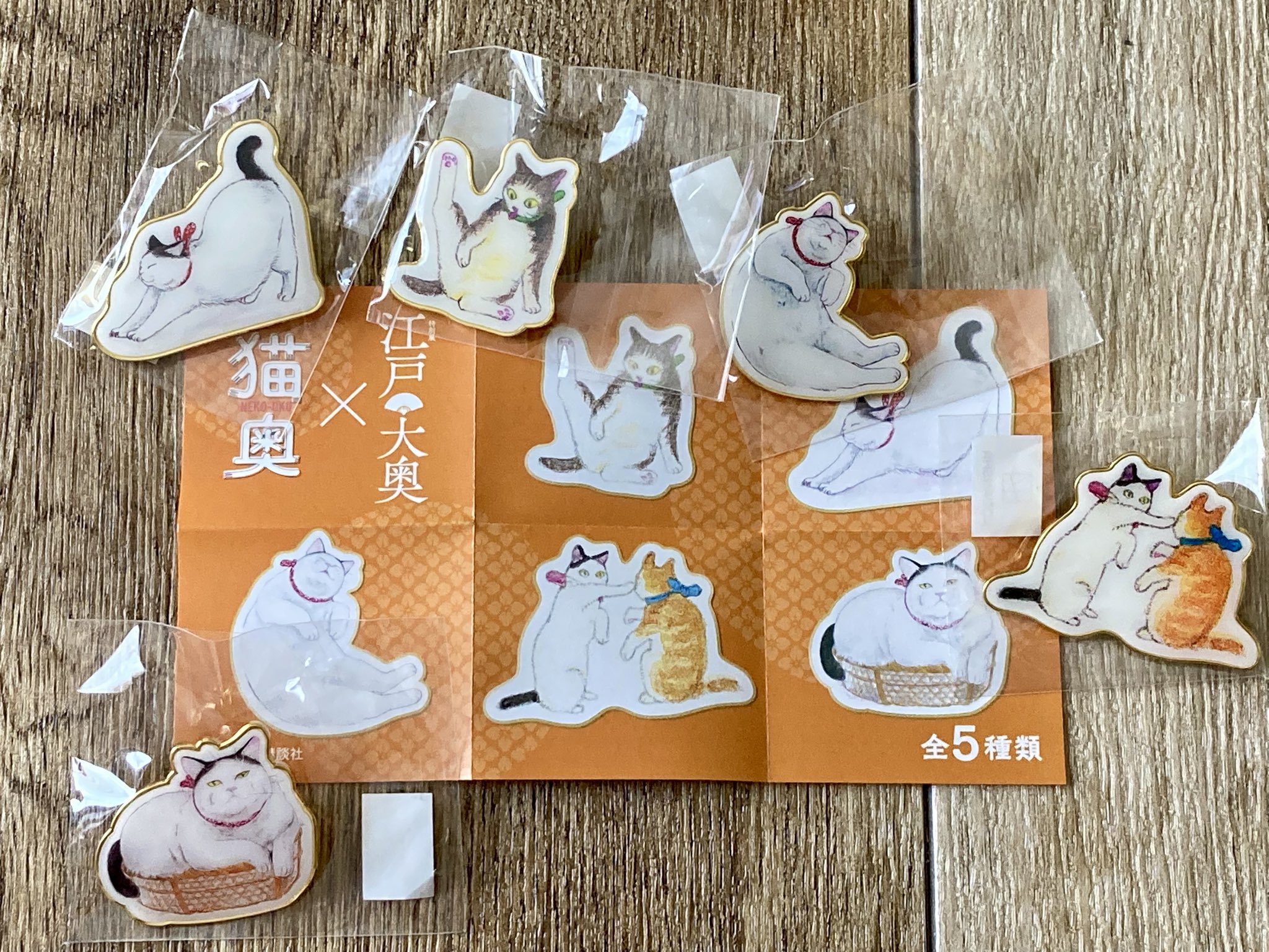 猫奥 1-10巻セット 山村東 猫奥（10）』（山村 東）｜講談社