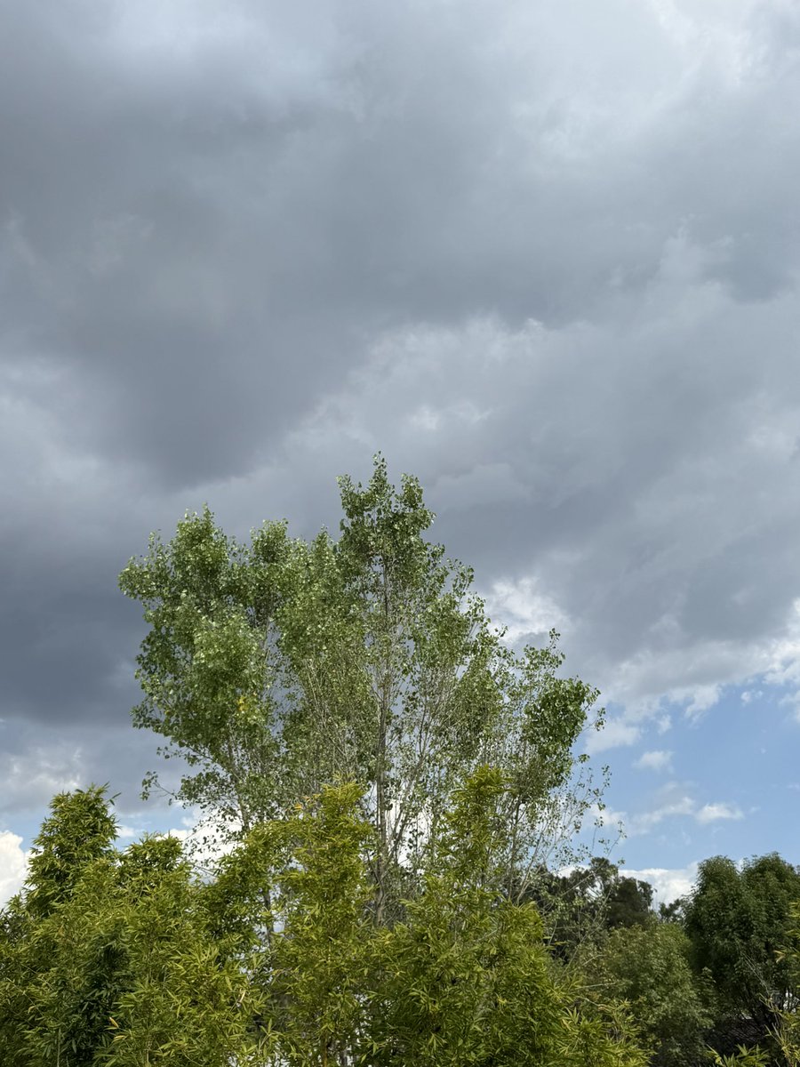 ¡Ahí viene la lluvia!