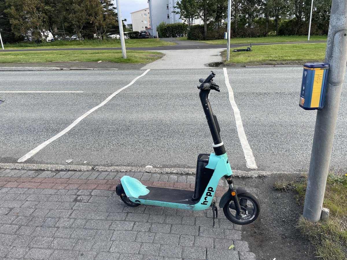 Verst lagða rafskútan (@verstlagda) on Twitter photo 