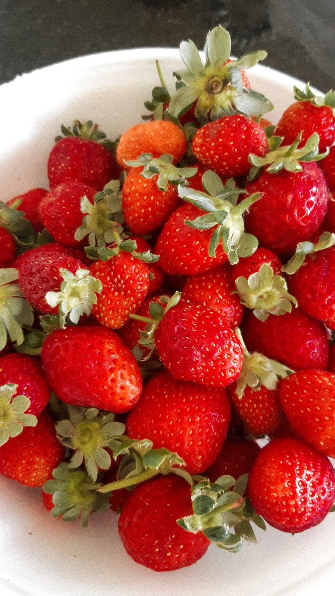 choquei's tweet image. 🚨BRASIL: Preço do morango dispara após a fama do doce “Morango do Amor”. O quilo, que custava R$ 16,75, saltou para R$ 23,10.